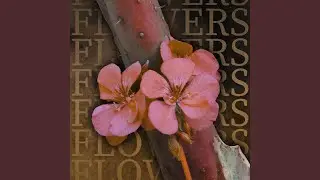 Bittersweet Sonder (interlude)