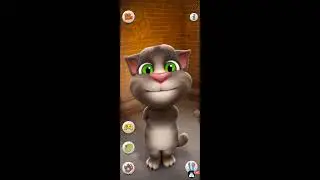 ​💔 LIVE: Tom Hua Dukhi! 😥 Kaisa Hua Tom Cat Ke Saath? Hindi Gameplay Comedy Part 68