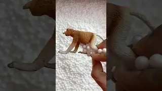 cute animal monkey toy