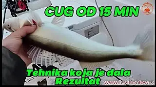 Pecanje smudja, *Zimsko muvanje,  cug od 15min tehnika koja je dala rezultat. 