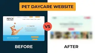 Let's Redesign Your Website | 5-Star Pet Daycare