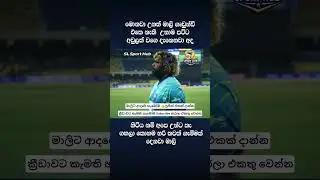 අපේ සිහයා #cricketlover #worldcup #cricket #slcricket #sports