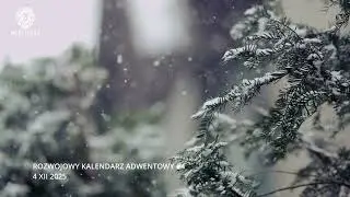 РАЗВИВАЮЩИЙ АДВЕНТ-КАЛЕНДАРЬ №4 4 ДЕКАБРЯ - МЕДИТЕУС - ТВОРЧЕСКОЕ ВООБРАЖЕНИЕ - ВАШ СПАСАТЕЛЬ!!!