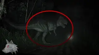 #5 Dinosaures Caught on Camera In Real Life (2)