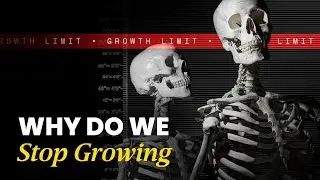 Your Body Decides When You Stop Growing