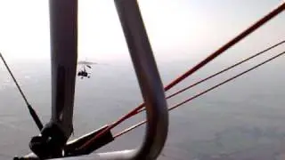 Tom Nixon dives like a kingfisher