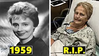 The Navy Lark (1959) Cast THEN AND NOW 2024, All cast died tragically! 😢