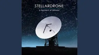 A Moment of Stillness
