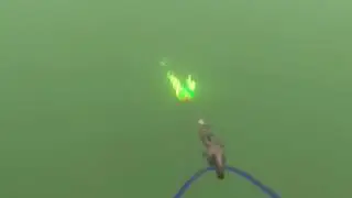 Chatter Lures Tuna Bomber Chain Test