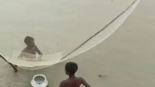 net fishing padma RIVAR Rajshahi 🎣🎣✅✅ fishing video in Bangladesh 🇧🇩🇧🇩 #fishing #fish #fishingvide1