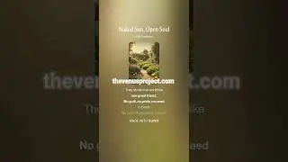 Naked Sun, Open Soul 1 - Short #AI #Song by #Suno #lyrics by #Deepseek #music #newmusic