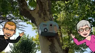 Camping Port Punay 17340 Châtelaillon Plage Septembre 2021