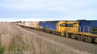 6MP4 Pacific National TOLL Container Train With Diesel Locomotives NR57 NR4 G530 (8/8/2024)- PoathTV
