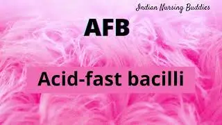 Abbreviations