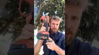 The Best AEG Electric Pruner Review