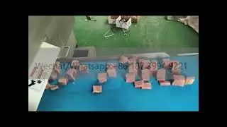 Automatic Fresh Meat Dicing Machine Boneless Chicken Dicing Machine Pork Mutton  Beef Dicing Machine
