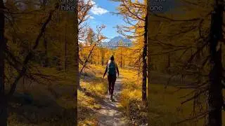 One of the best larch hikes in Banff 🇨🇦 #explorecanada #hikingadventures #banff #fall