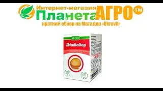 🐛 Краткий обзор на Матадор 