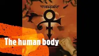 PRINCE - THE HUMAN BODY (1996)