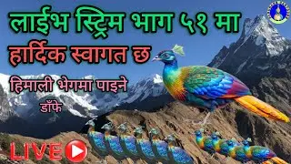 Paruhang Cartoons is live, Live Network Asia, Live Nepal, Live Chat, Live Vlog, Live Stream, Viral