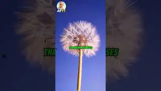 Silent Hard Work#motivation #education #shortsviral #shorts #viral #viralvideos