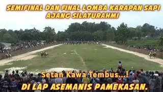 Semifinal Dan Final Lomba Karapan Sapi Ajang Silaturahmi S3tan Kawa Tembus...! 