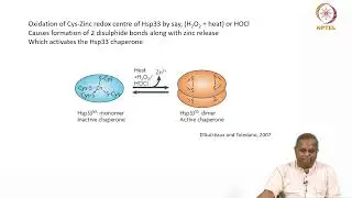 Lec 23: RS in cell sgnaling - bacterial systems