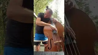 Mario Lomon - Gracie Abrams &bdquo; I Love You , I&rsquo;m Sorry&rdquo; double bass cover