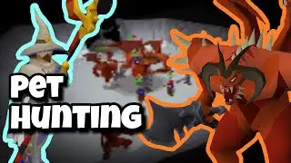 The BEST Way to SOLO Farm Zammy | 5:0 Guide