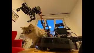 Robolive demo
