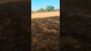 okra field #farming #land #d3si#subscribe #tranding #viralshorts #like