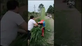 Broyeur d'aliments pour animaux , forage chopper machine, silage cutter machine