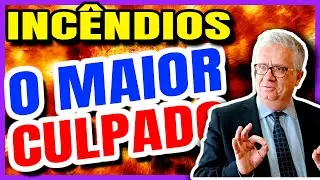 🔥 PROGRAMA 