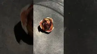 Hell Breaker Ultimate Valkyrie #slowmotion hand spin