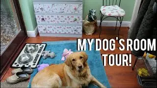 Tinka-Belle's Dog Room Tour! + Tricks, Toys & Treats!| Claudia Greiner