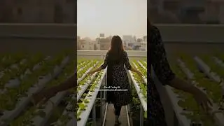 Your Career in Modern Farming Begins 🚀🌱 | Start Hydroponics Today