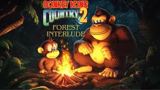 🌿 Donkey Kong Country 2 - Forest Interlude | Relaxing Music for Study and Sleep 🎶
