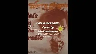 Cat Steven's Cats in the Cradle Cover #youtubeshorts #youtube #tiktok #music #shortvideo #rockband