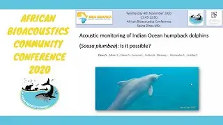 Individual acoustic based monitoring of Indian Ocean humpback dolphins - Sasha Dines | ABC 2020