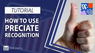 How to Use Preciate Recognition