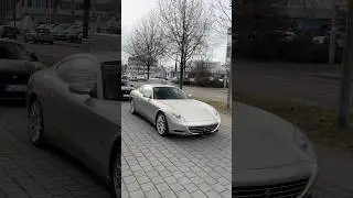 Grigio Ingrid😮&zwj;💨