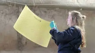 Vliegenbestrijding - BoerENverstand BTN de Haas