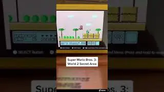 Awesome secret area in Super Mario Bros 3!