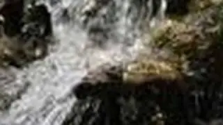 Tabita Zemora-Pentru tine