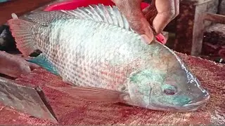 Nice Cutting Style | Amazing Big Tilapia Fish Cutting By Expert Fish Cutter