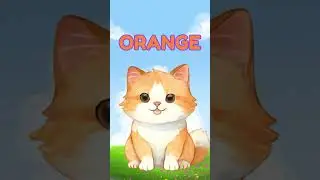 ORANGE CAT-Learn Colors with LiliiLoo:  Gentle & Low-Stimulation for Kids  #shorts t #kidsactivities