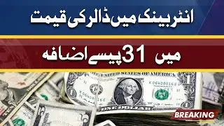 Dollar Price Updates | Latest Currency Rates in Pakistan | Latest Details