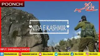 Pakistan's attempt to infiltrate the LoC Karmada of Poonch