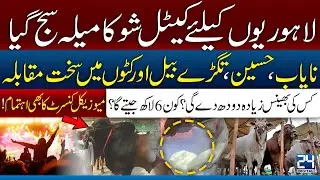 Punjab Cattle Show 2025 | Massive Bulls, Milk Test & Live Musical Concert | 24 Digital