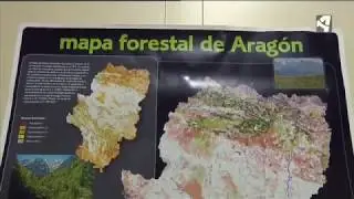 SITUACIÓN FORESTAL EN ARAGÓN